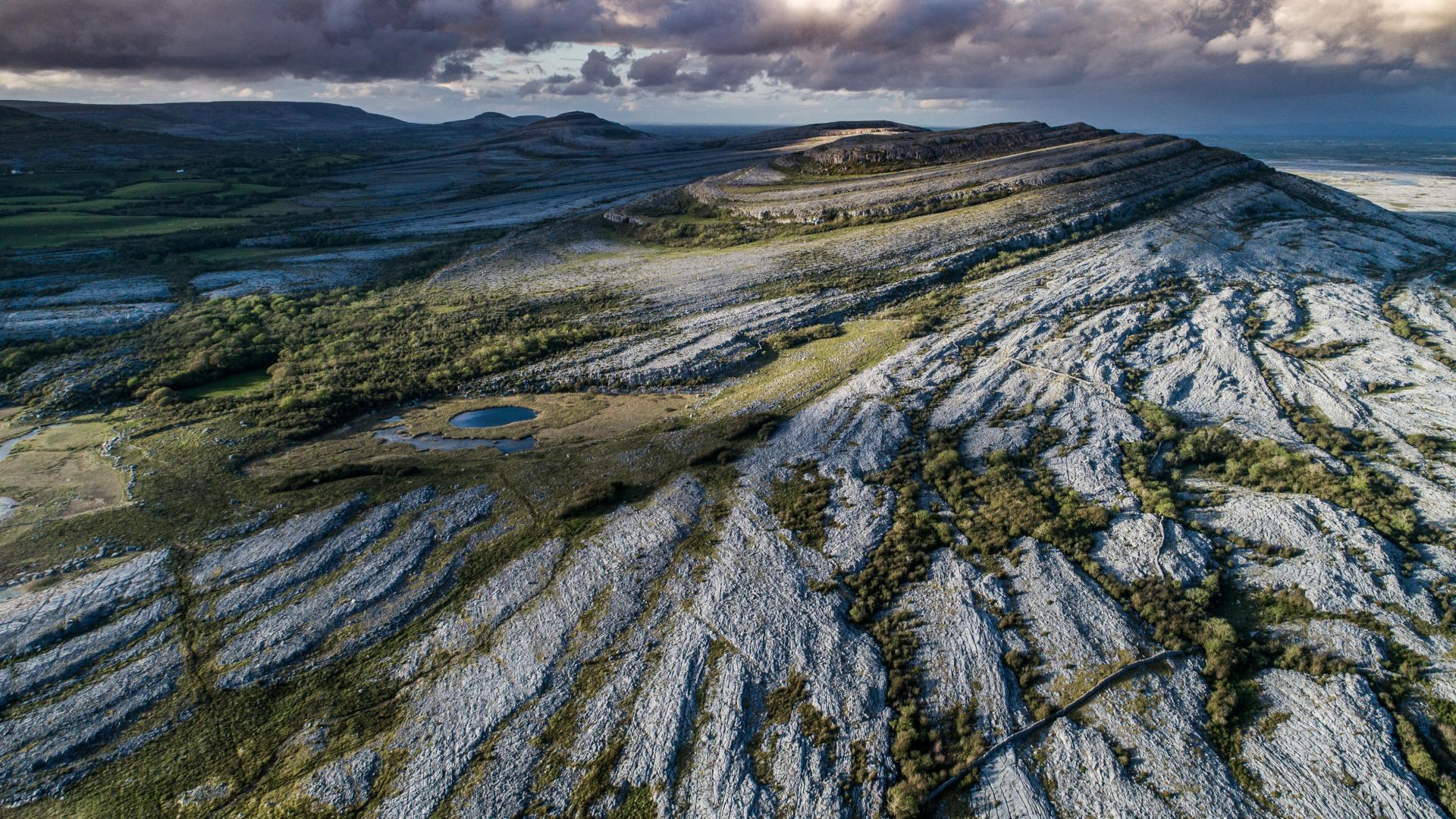 The Burren Birds of Prey Centre • Go to Ireland.com